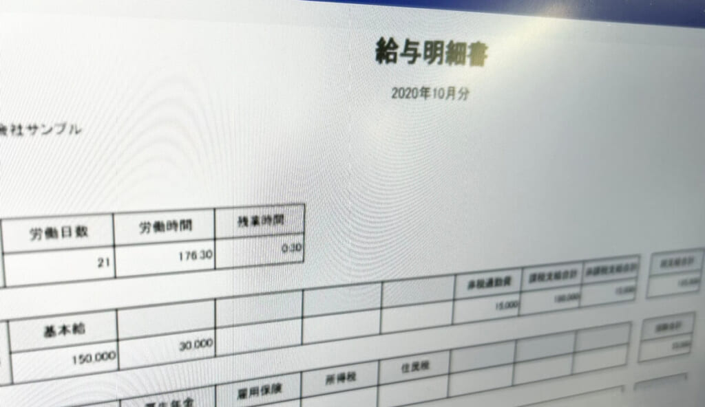 給与明細のサンプル画像を掲載しているホームページ